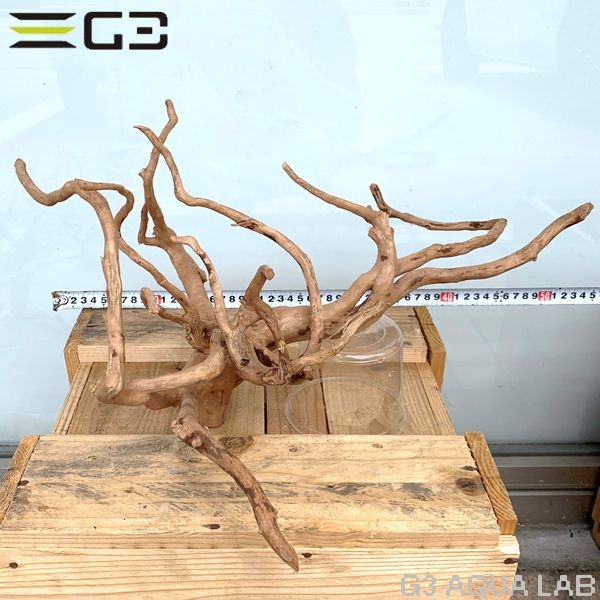 No,54 ADAブランチウッド風流木 サイズ約25〜55cm