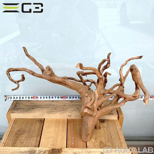 No,54 ADAブランチウッド風流木 サイズ約25〜55cm