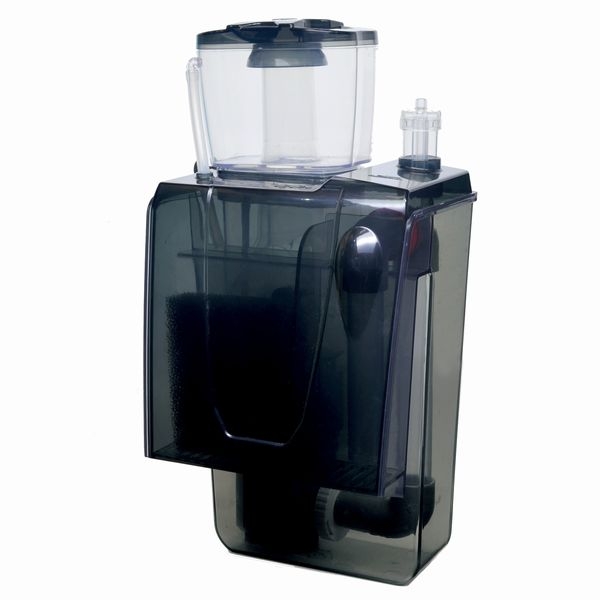 ���󥹥������ݼ��ץ��ƥ��󥹥��ޡ� QQ3��[4934743017475]