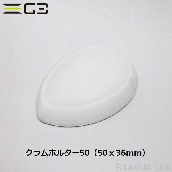 ���㥳������������ �����ۥ����50 [47800011]