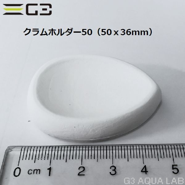 ���㥳������������ �����ۥ����50 [47800011]