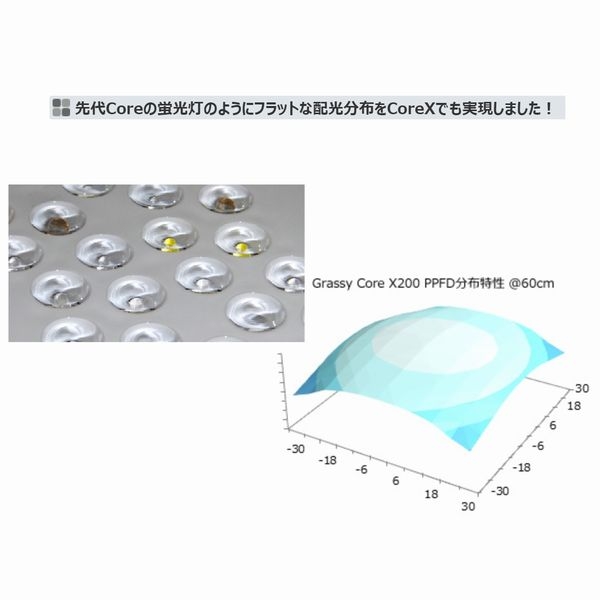 Grassy Core X 120 Reef/�꡼�� (LPS model) [4560381573921]