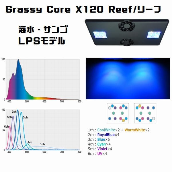 Grassy Core X 120 Reef/リーフ (LPS model)スタンドアームセット