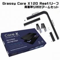 Grassy Core X 120 Reef/꡼ (LPS model)ɥॻå