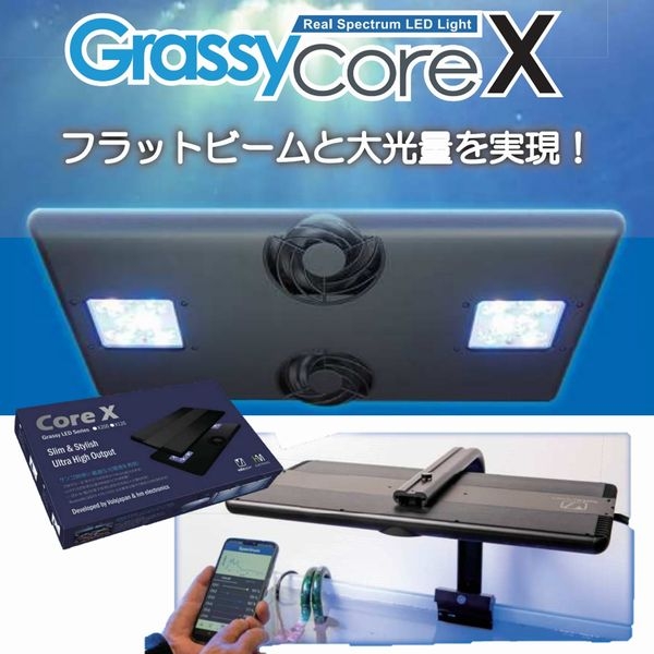 Grassy Core X 200 Reef/꡼ (SPS model) [4560381573914]