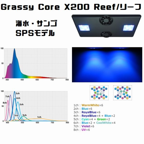 Grassy Core X 200 Reef/�꡼�� (SPS model) [4560381573914]
