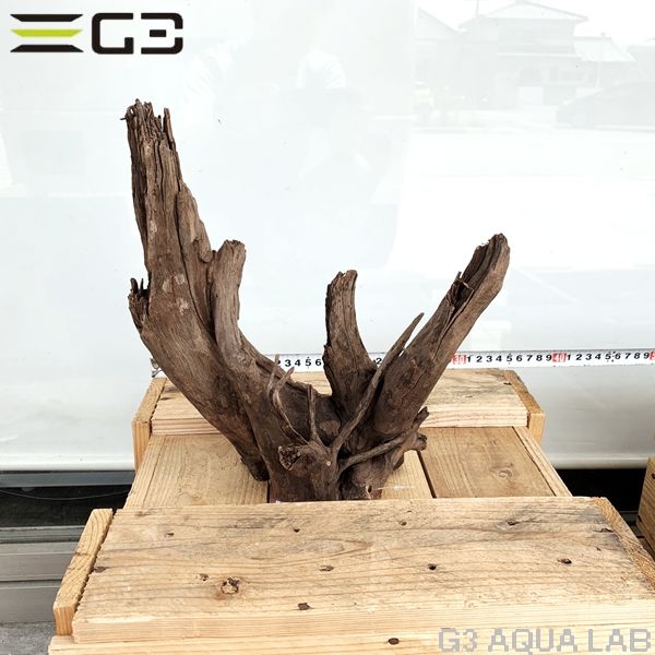 No,158�����ͥ��ߥե����֥�å��ۡ���ή�ڡ�M������