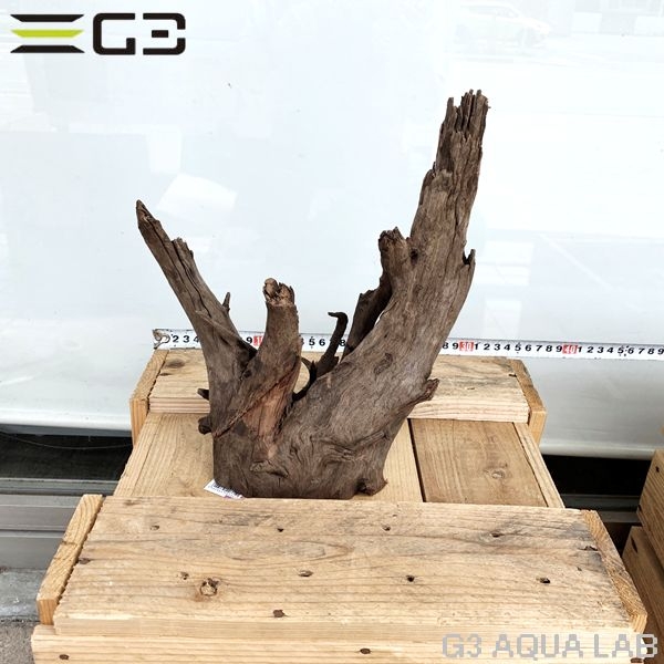 No,158�����ͥ��ߥե����֥�å��ۡ���ή�ڡ�M������