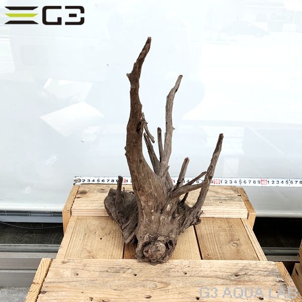 No,159�����ͥ��ߥե����֥�å��ۡ���ή�ڡ�M������