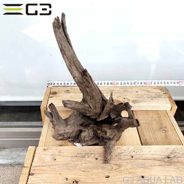 No,160�����ͥ��ߥե����֥�å��ۡ���ή�ڡ�M������