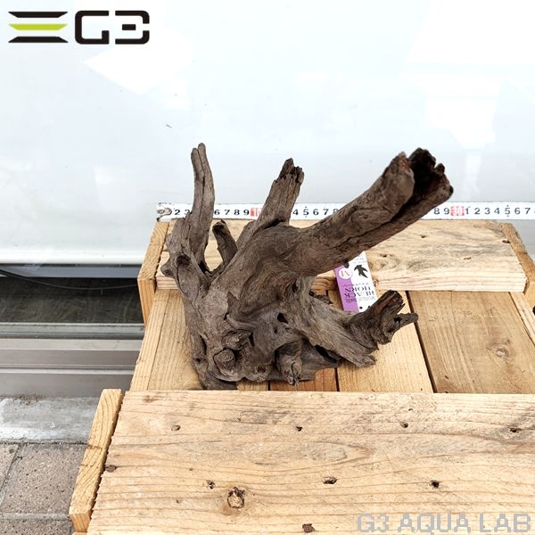 No,160�����ͥ��ߥե����֥�å��ۡ���ή�ڡ�M������