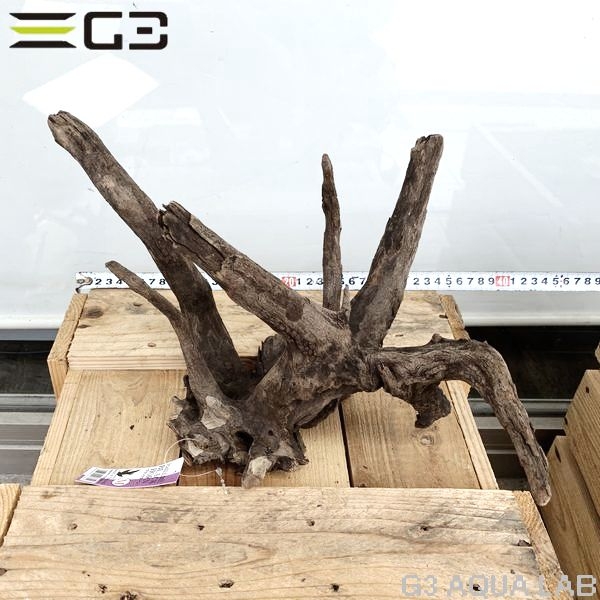 No,161 ソネケミファ ブラックホーン流木 Mサイズ