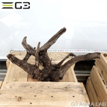 No,161�����ͥ��ߥե����֥�å��ۡ���ή�ڡ�M������