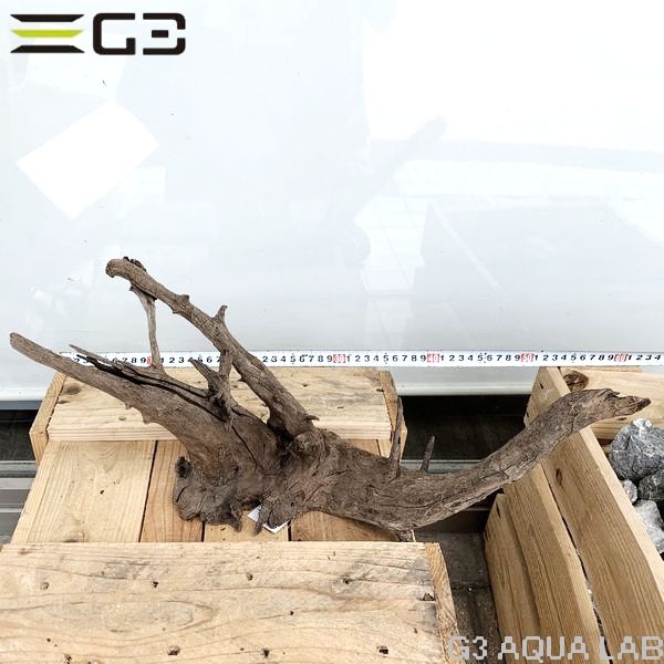 No,162�����ͥ��ߥե����֥�å��ۡ���ή�ڡ�M������