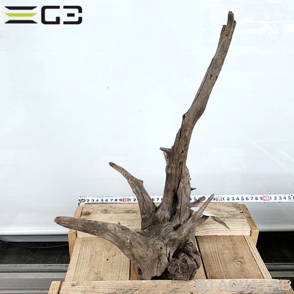 No,181�����ͥ��ߥե����֥�å��ۡ���ή�ڡ�L������