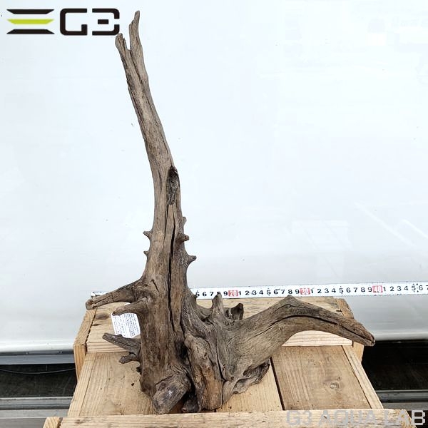 No,181 ソネケミファ ブラックホーン流木 Lサイズ