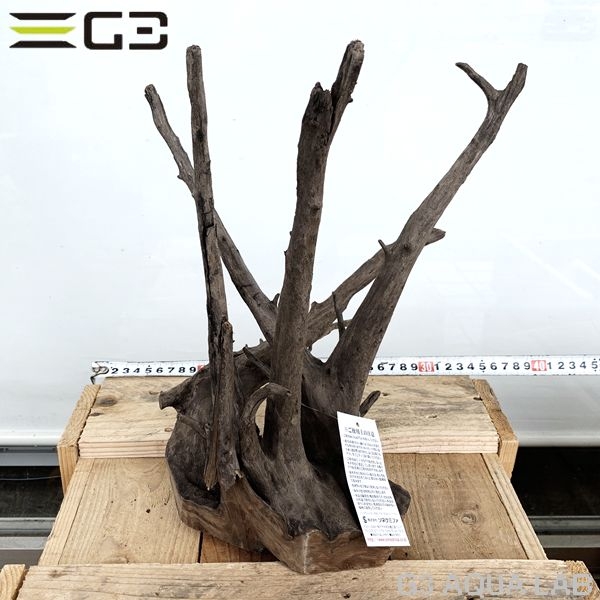 No,182�����ͥ��ߥե����֥�å��ۡ���ή�ڡ�L������