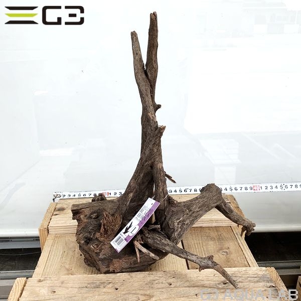 No,183�����ͥ��ߥե����֥�å��ۡ���ή�ڡ�L������