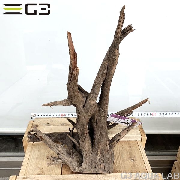 No,184�����ͥ��ߥե����֥�å��ۡ���ή�ڡ�L������