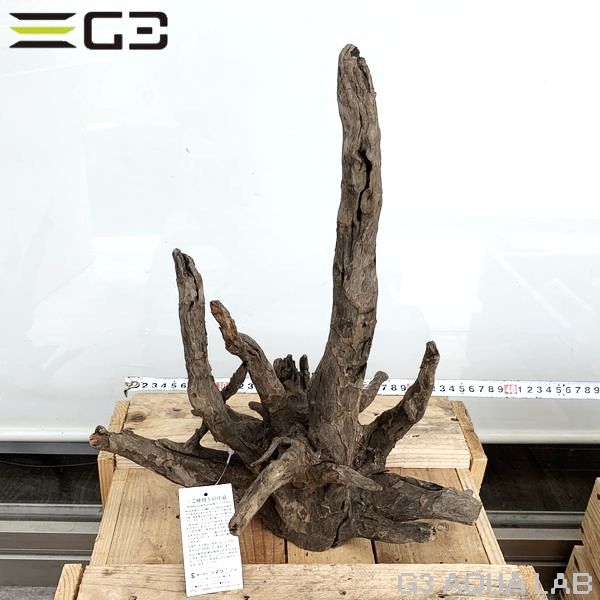 No,185 ソネケミファ ブラックホーン流木 Lサイズ