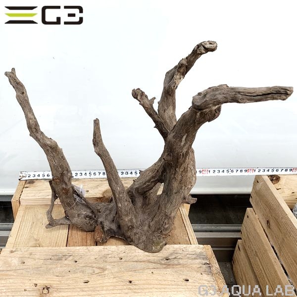 No,186�����ͥ��ߥե����֥�å��ۡ���ή�ڡ�L������