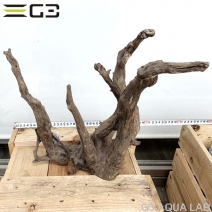 No,186�����ͥ��ߥե����֥�å��ۡ���ή�ڡ�L������