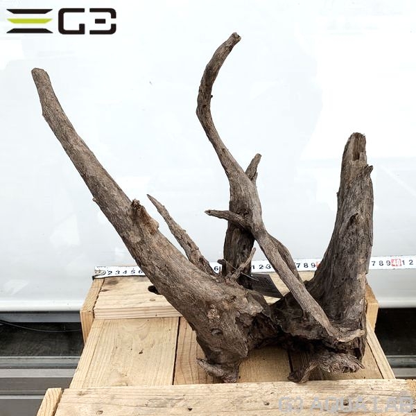 No,187 ソネケミファ ブラックホーン流木 Lサイズ