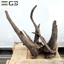 No,187�����ͥ��ߥե����֥�å��ۡ���ή�ڡ�L������