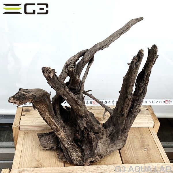 No,188�����ͥ��ߥե����֥�å��ۡ���ή�ڡ�L������