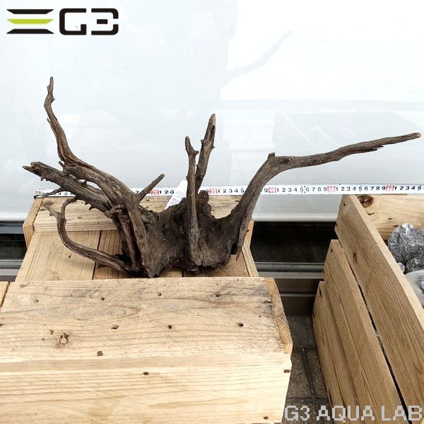 No,189�����ͥ��ߥե����֥�å��ۡ���ή�ڡ�L������