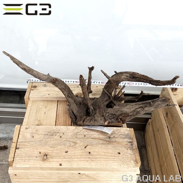 No,189 ソネケミファ ブラックホーン流木 Lサイズ