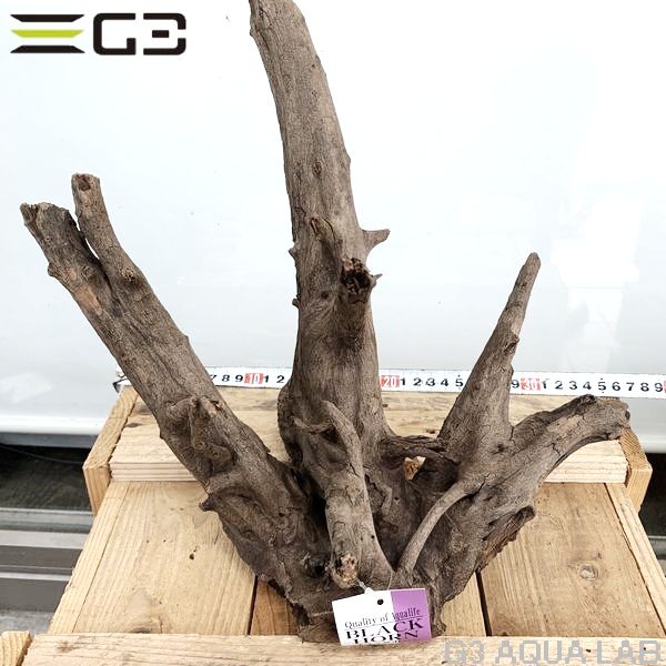 No,190�����ͥ��ߥե����֥�å��ۡ���ή�ڡ�L������