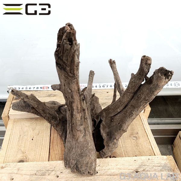 No,190�����ͥ��ߥե����֥�å��ۡ���ή�ڡ�L������