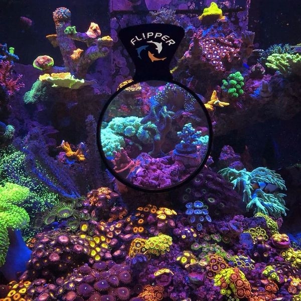 DEEP SEE MAX���б����饹��20mm����� [0652043949404]