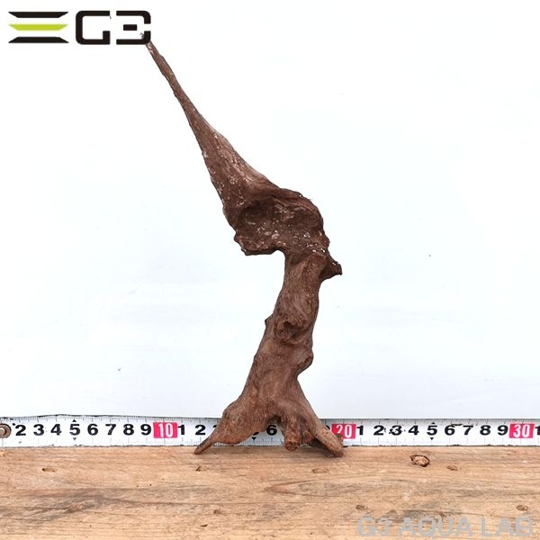 No,301 ADAホーンウッド風流木 サイズ約10〜25cm