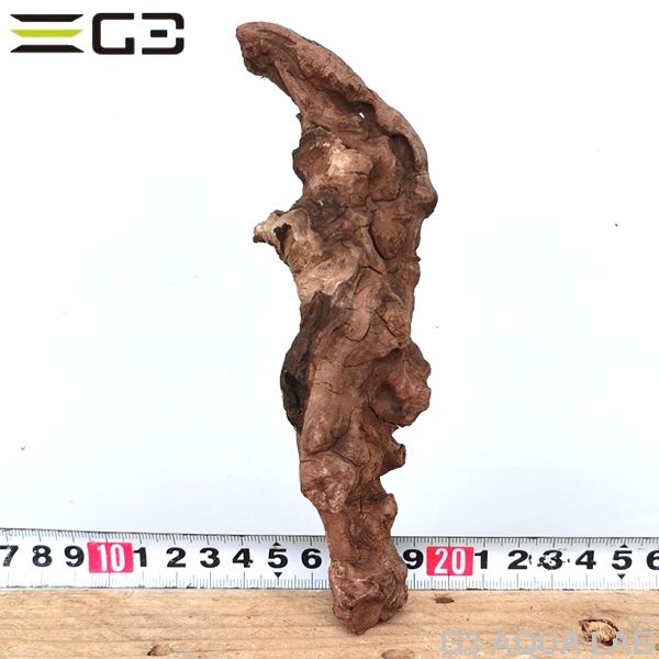 No,303 ADAホーンウッド風流木 サイズ約10〜25cm