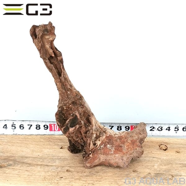 No,308 ADAホーンウッド風流木 サイズ約10〜25cm