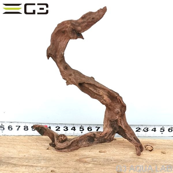 No,313 ADAホーンウッド風流木 サイズ約10〜25cm