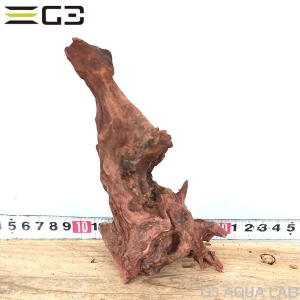 No,317 ADAホーンウッド風流木 サイズ約10〜25cm