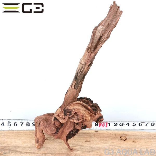 No,325 ADAホーンウッド風流木 サイズ約10〜25cm