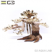 ���BONSAI ���վ� S������ [4971664071001]