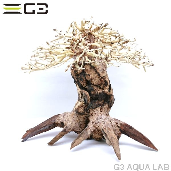 ���BONSAI �׼� S������ [4971664071094]