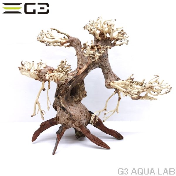 ���BONSAI �����S������ [4971664071131]