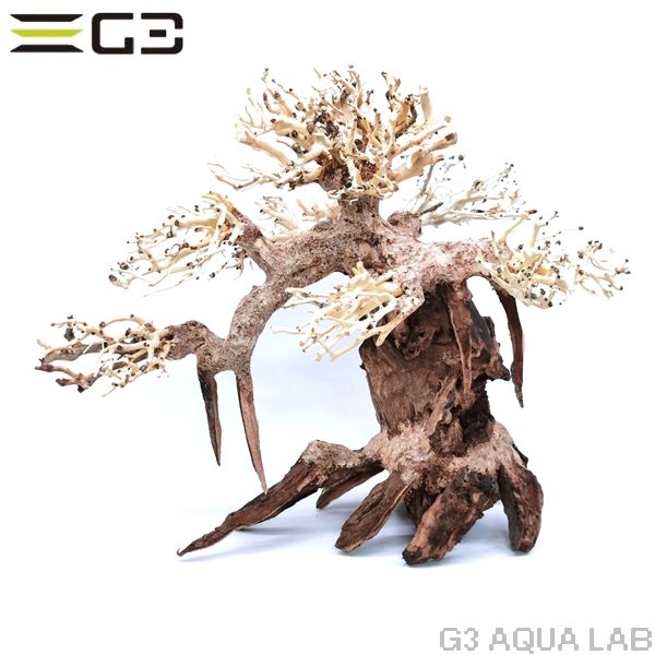 ���BONSAI ����� L������ [4971664071155]