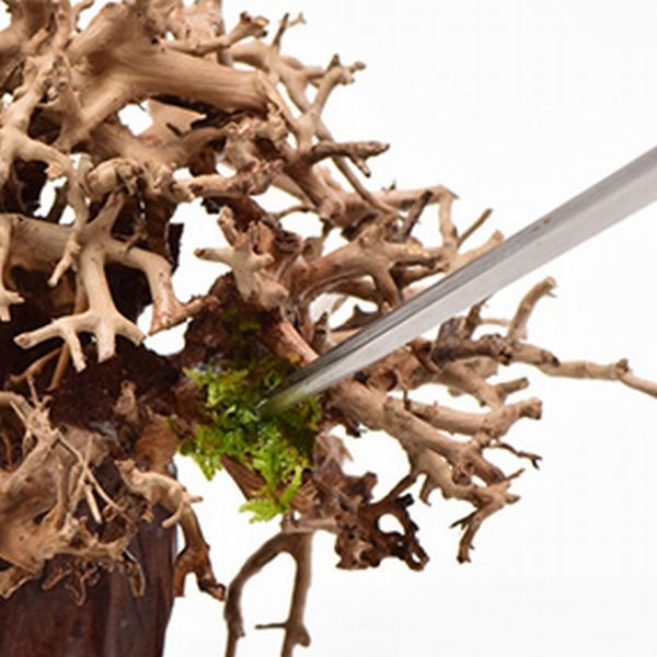 ���BONSAI ����� L������ [4971664071155]