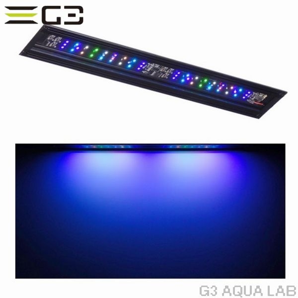 volxjapan GrassyWing2 Marine 60(LPS model)��[4560381573983]