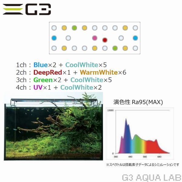 volxjapan GrassyWing2 Fresh 60(Plant model)��[4560381573976]