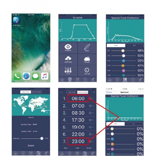 volxjapan GrassyWing2 Fresh 60(Plant model)��[4560381573976]