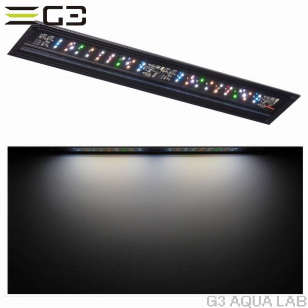 volxjapan GrassyWing2 Fresh 90(Plant model)��[4560381573990]