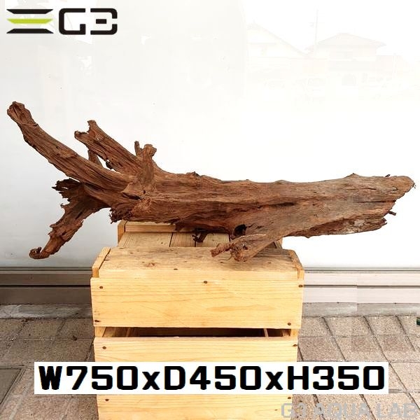 No,501�����ꥸ�ʥ�ۡ��󥦥å���ή�ڡ�XXL������